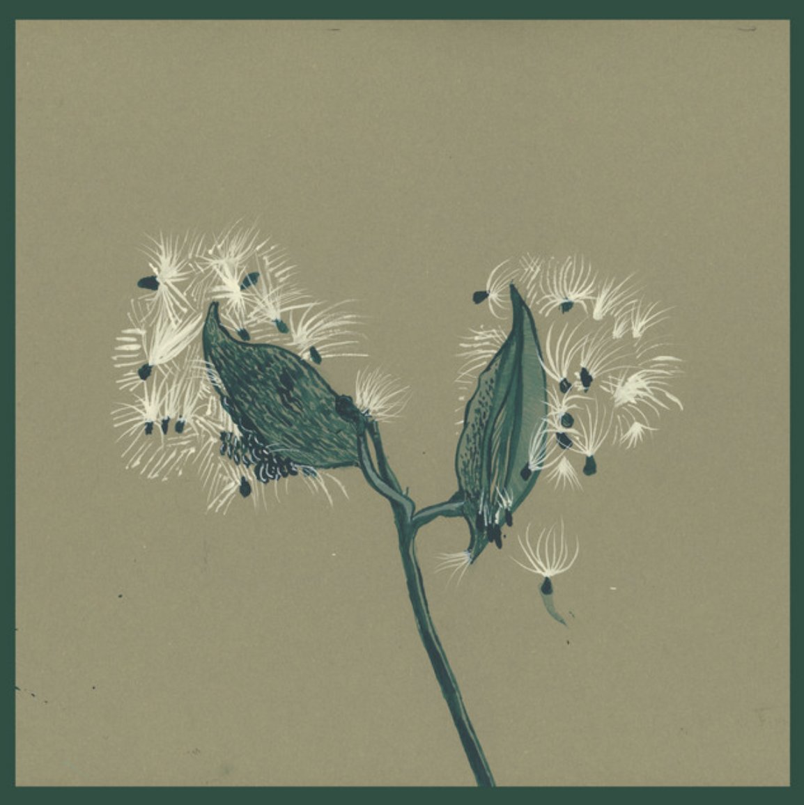 transgressiveHQ's tweet image. Instrumentals of @DirtyProjectors &amp;amp; Stargaze&apos;s Song of the Earth are now available on all platforms ! 🌱
dirtyprojectors.lnk.to/SOTEI