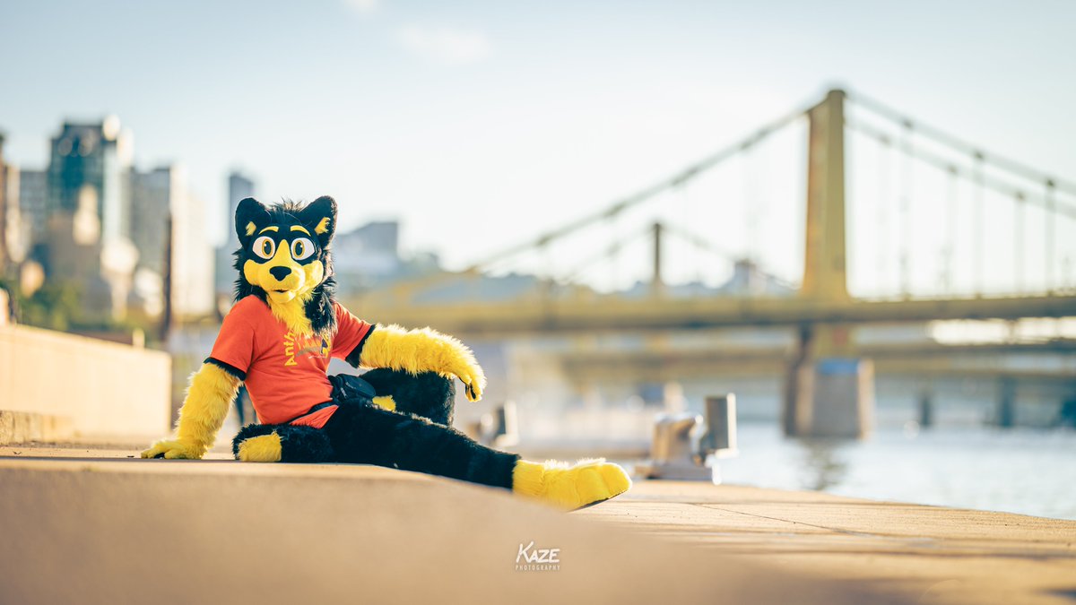 anthrocon's tweet image. Now that we're all back home and (mostly) recovered from another amazing convention, take a look at how we're wrapping up #Anthrocon 2025 and what to look forward to next! 🤩
anthrocon.org/news/anthrocon…
📸 Kaze