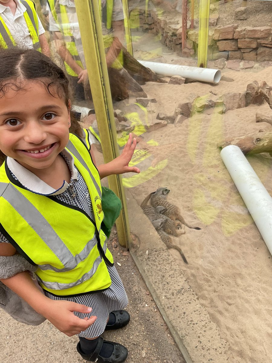 StanleyGrovePri's tweet image. Year 2 had a wonderful trip to Tropical World and Roundhay Park today! #stgrovescience