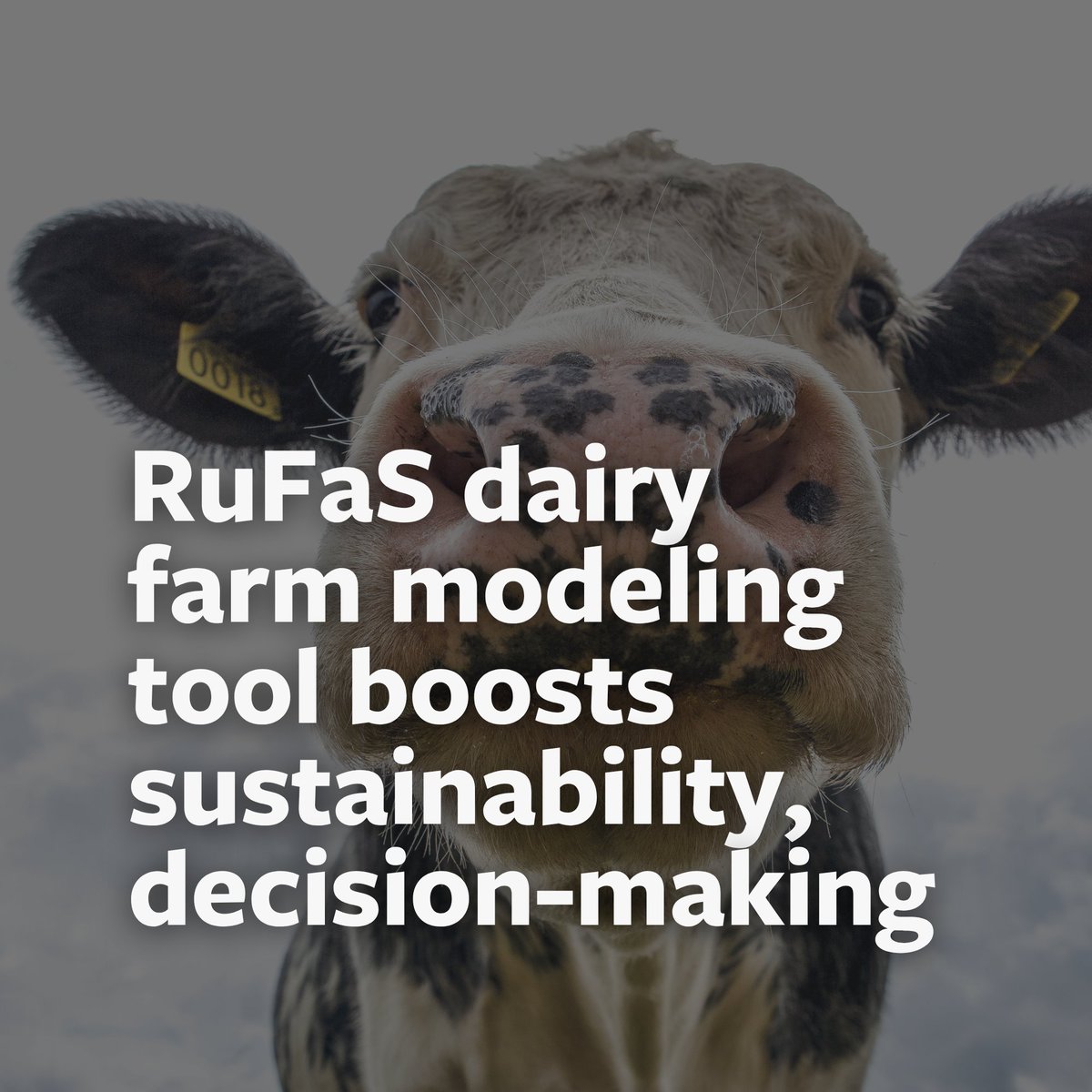 AtkinsonCenter's tweet image. A new free modeling tool, RuFaS, enables farmers to predict how changes in the ways a dairy farm is managed could impact production costs, resource use & emissions.
📰 Big news: The tool is now available at no cost for open-source collaboration: news.cornell.edu/stories/2025/0…
