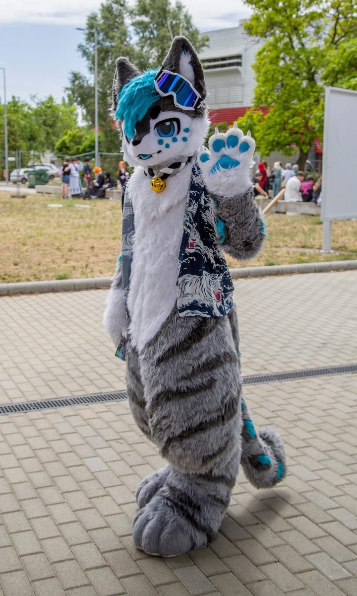 Felt cute 🩵 Was fun in Mondocon, see ya next time 🐾

#FursuitFriday #furry