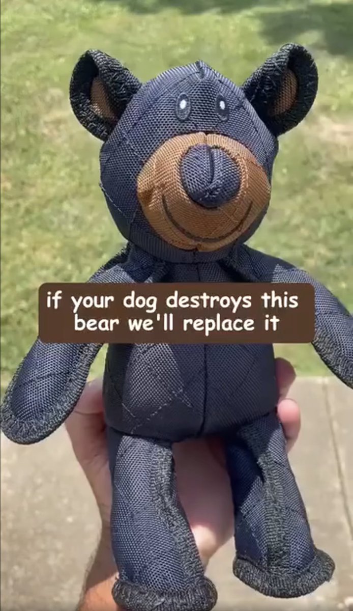 That's right. If your dog destroys this bear we'll replace your dog with one with no teeth... so, in effect, you're getting a new best friend AND a cuddly bear. (Seems a tad extreme.)
