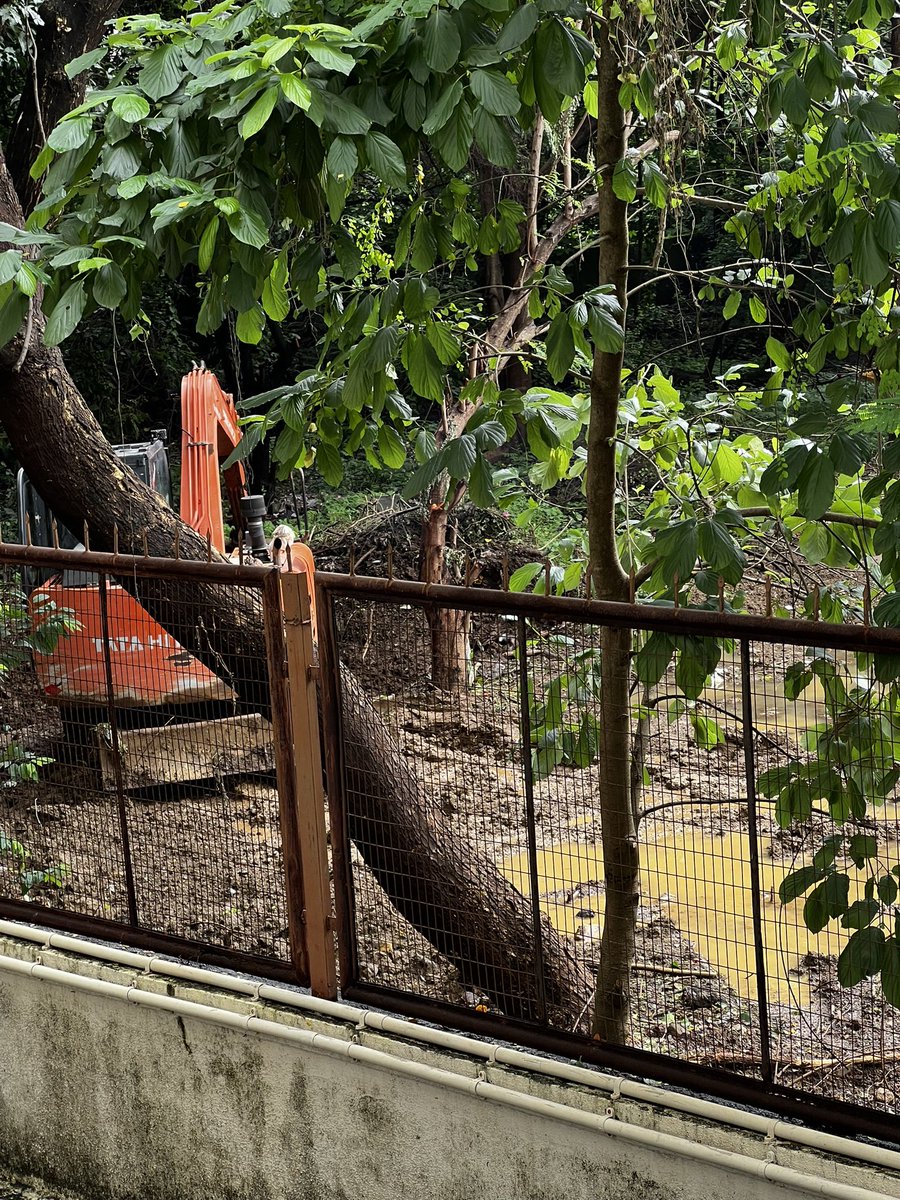 Dr. Samip MBBS, DCH tweet media