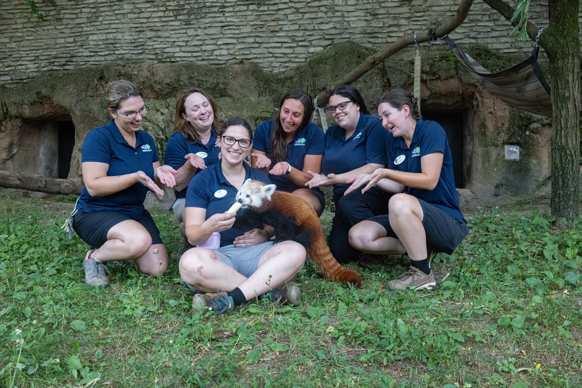 buffalozoo's tweet image. July 20-26 is National Zookeeper Week! To celebrate, we’re spotlighting a Buffalo Zoo keeper team each day,  starting off with our Carnivore Team!

The Carnivore Team (who loved the photoshoot 😂) oversees dozens of animals of varying sizes, from our polar bears to red pandas.