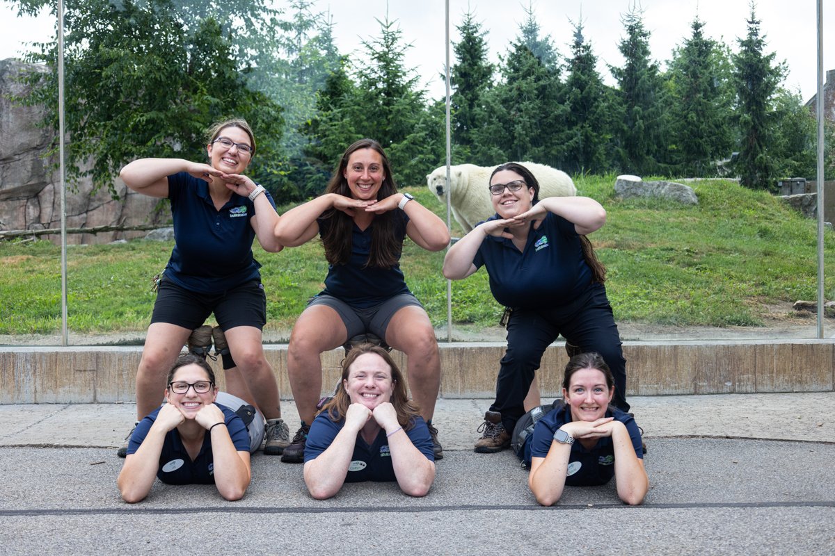 buffalozoo's tweet image. July 20-26 is National Zookeeper Week! To celebrate, we’re spotlighting a Buffalo Zoo keeper team each day,  starting off with our Carnivore Team!

The Carnivore Team (who loved the photoshoot 😂) oversees dozens of animals of varying sizes, from our polar bears to red pandas.