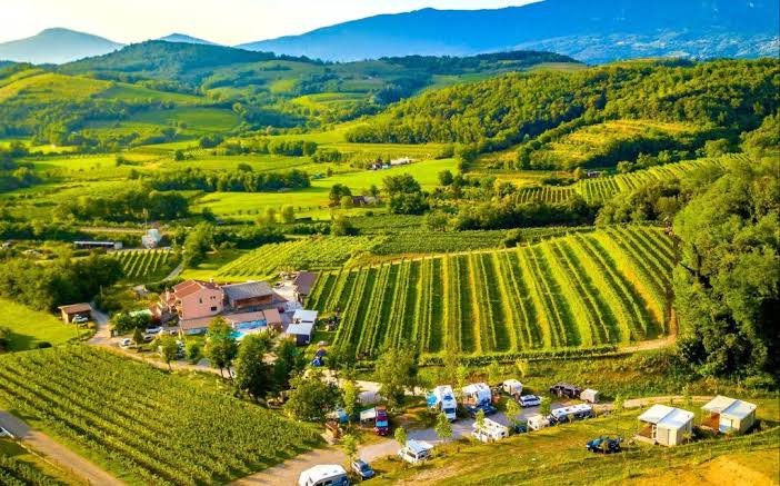 pitgempix's tweet photo. equestrian or vineyard camping
You think you know what you did next summer? https://t.co/DSiJQy4qwO