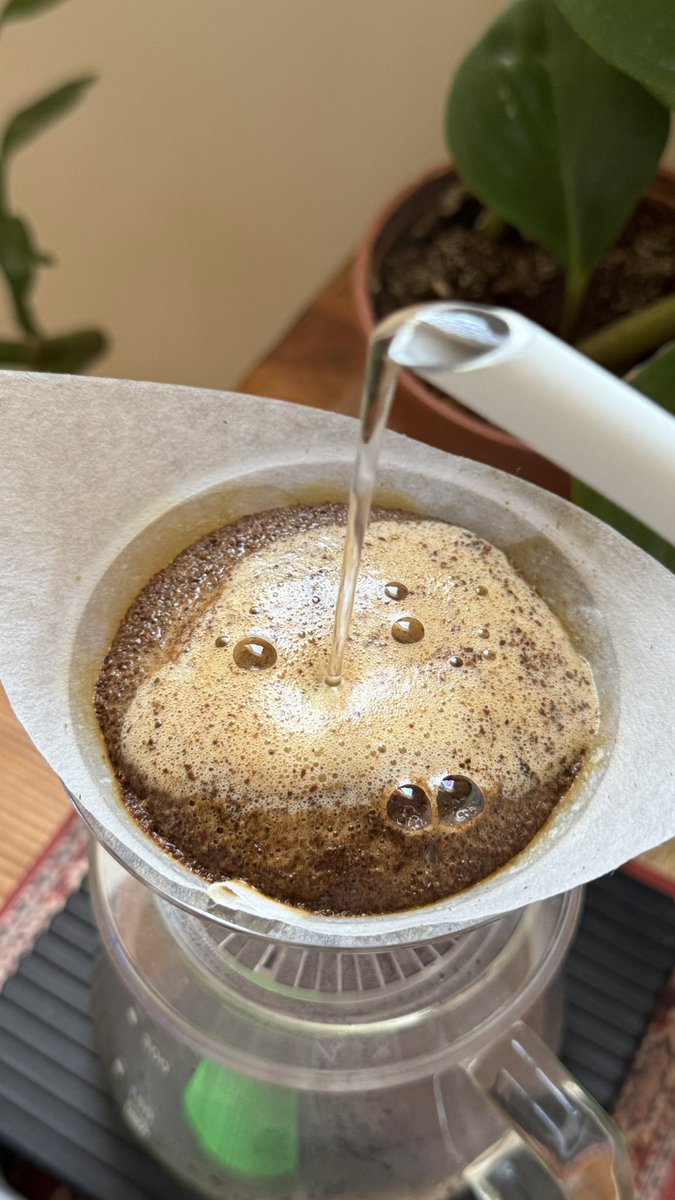 6ii6a's tweet photo. يُخلق الإنسانُ معطاءً ..
حتى يُعلمه البشر الحذرّ

- https://t.co/JGMCsORs7H