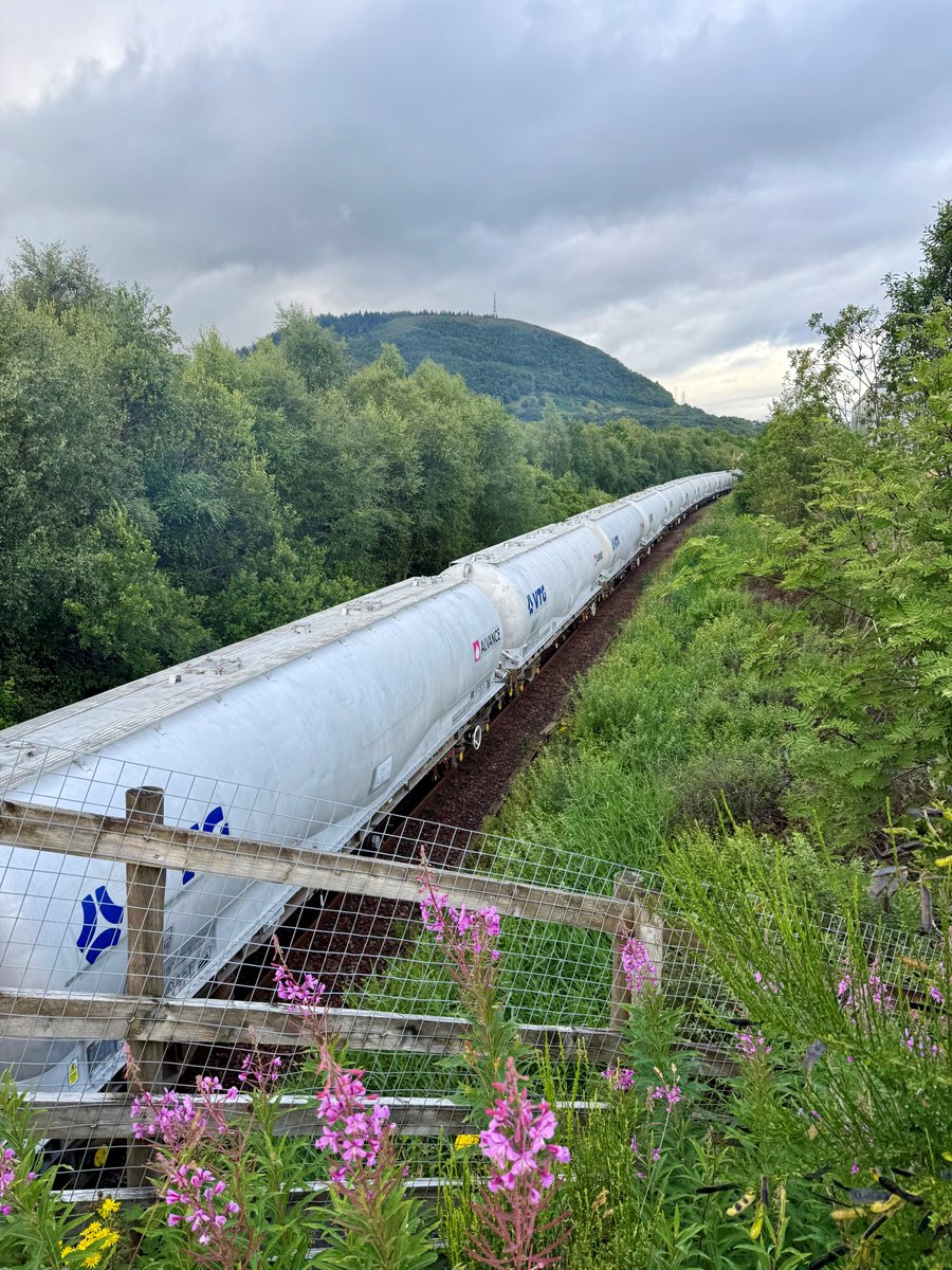 Aluminium Intl Today tweet media