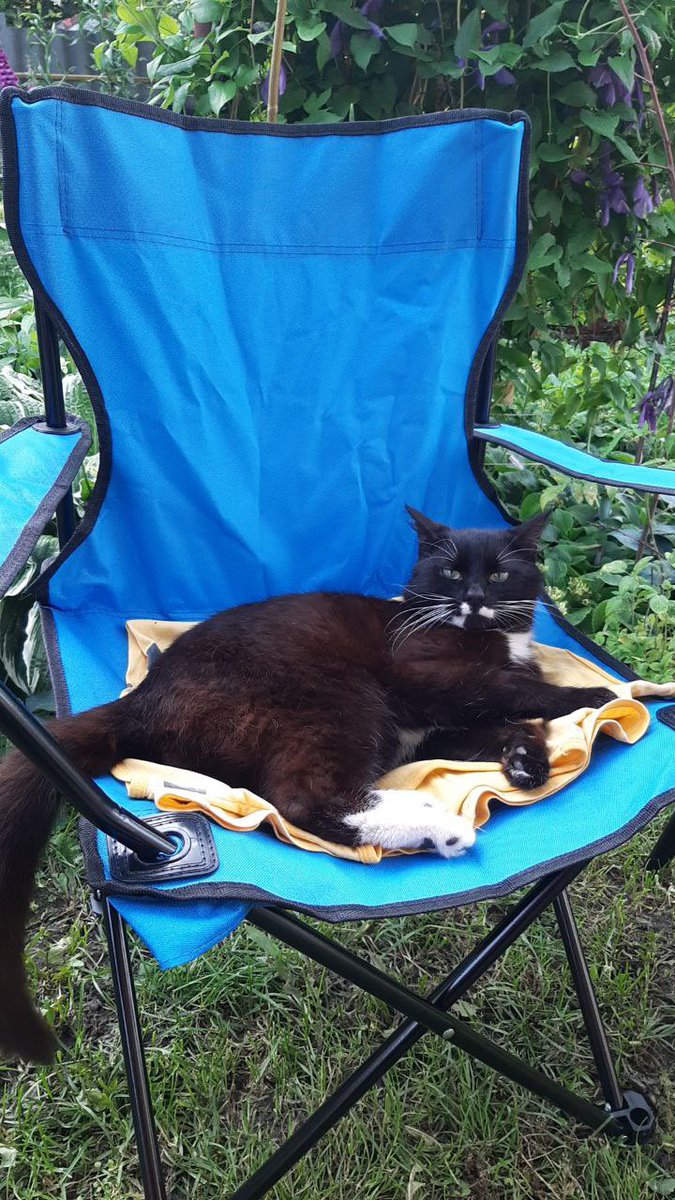 redcatread's tweet image. У мами захворів котик Степанчик, ураження легень 80%, зараз знаходиться на стаціонарі у кисневому боксі, +крапельниці, уколи, стан стабілізували
Побажайте йому одужання