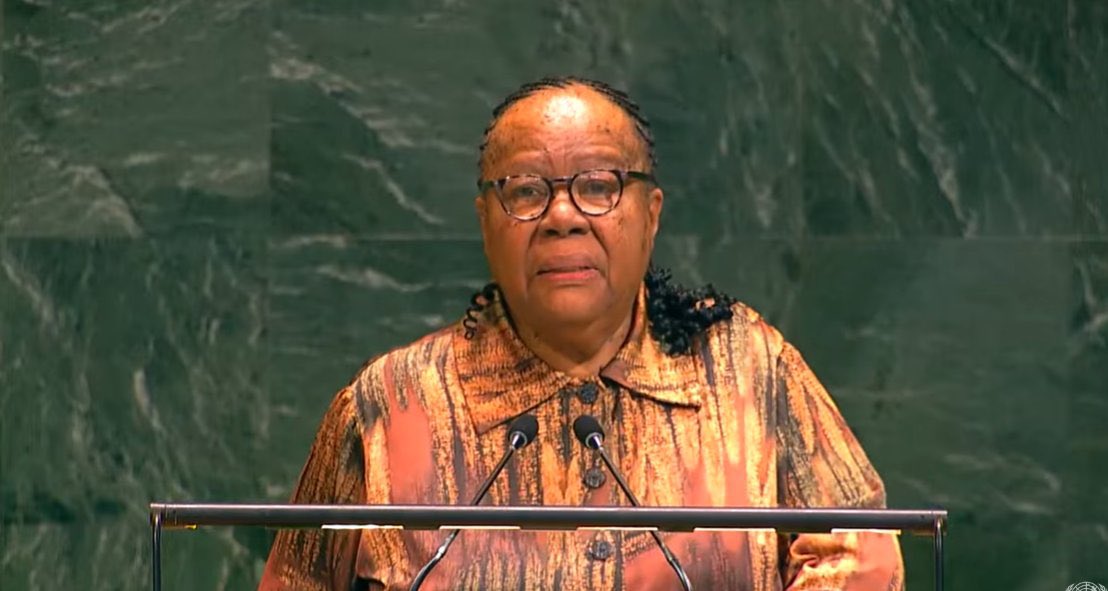 ThaboMakwakwa's tweet image. Let's be honest, Naledi Pandor is Presidential Material