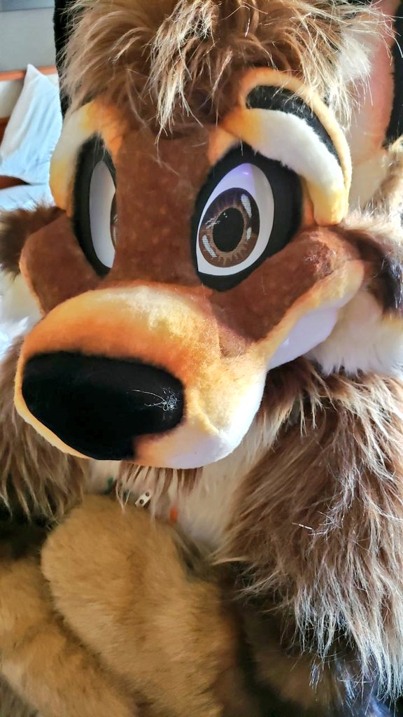 WolfyLion's tweet image. You could be the perfect one for the job... loyal, skilled, heart full of fire.
But if no one’s heard your howl, how will they know to call you?
As much as it sucks, even the strongest lion needs to leave the den and network. 🐾🦁 #wolfyLionWisdom
