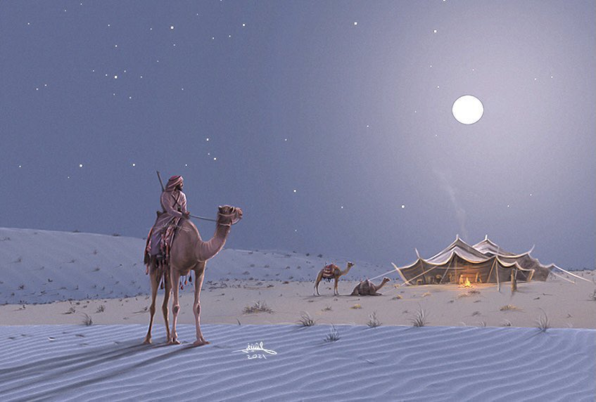 محمد الشنيفي tweet media