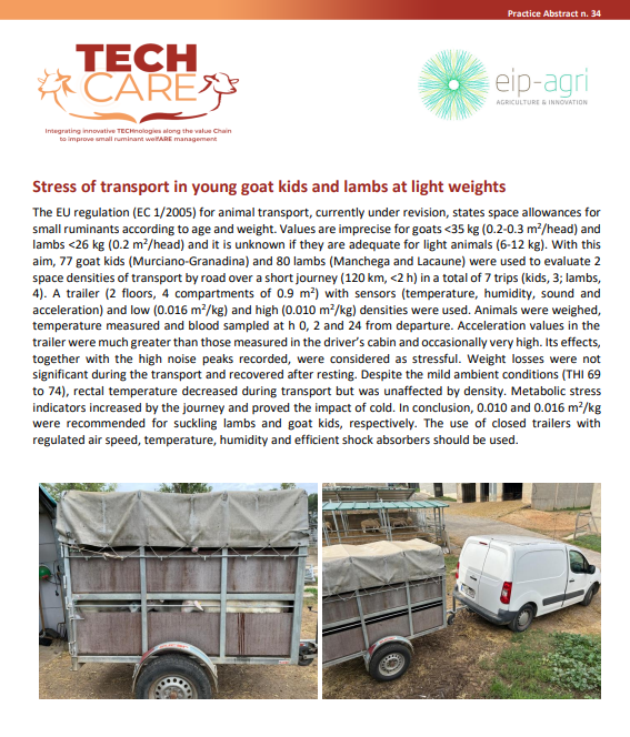 TechCare project presents its 34th Practice Abstract (PA34):

"Stress of transport in young goat kids and lambs at light weights" 🐑

Read it here👉 techcare-project.eu/wp-content/upl…