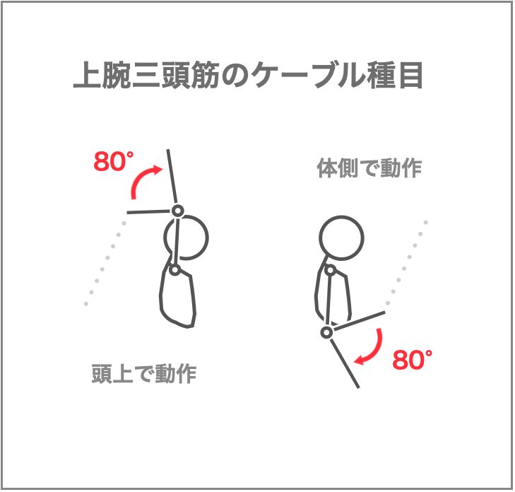 AthleteBodyjp's tweet photo. 毎週金曜日、フィットネス関連の情報をお送りしています。ぜひお付き合いください。

今日のテーマは、上腕三頭筋アイソレーション種目のフォーム比較です。上腕三頭筋に特化した種目はいくつもありますが、やり方によって効果に違いがあるかを考えます。

今回紹介する研究では、ケーブルを使って頭の上で動作を行うタイプと、腕を身体の側面に下ろした状態で行うタイプを比較しました。

△ ヒジの位置で効果は変わるのか？

上の図のように、ふたつの種目の違いはヒジの位置だけです。どちらも動作は80度で、その他の条件も揃えられました。

12週間のトレーニングの結果、上腕筋の筋量は以下のように変化しました。

△ 頭上で動作した方が効果アップ！

この研究では上腕三頭筋の部位ごとの筋量を測定しており、すべての部位において頭上で動作を行った方が筋量の伸びが大きいという結果になりました。

グラフでは部位ごとの変化を示しましたが、上腕三頭筋全体で見ると、筋肥大効果が1.4倍になったということです。これだけハッキリ違いが出ると、まぐれとは考えにくいです。

この研究では、参加者全員が両方の種目を片腕ずつ行いました。つまり、体質や生活習慣の個人差で結果がブレにくいということです。

他の条件も統一されていて、重量設定のルール、トレーニングの頻度や期間、ヒジの動作角度まで同じだったので、動作を行った位置だけでこの違いが出たことになります。

では、なぜなのか？

いくつか理由は考えられるのですが、有力と思われるものを2つ紹介します。

ひとつ目は、ヒジを頭上にあげると上腕三頭筋の長頭が伸ばされるということです。これまでの研究で、筋肉が伸ばされた状態で負荷をかけると筋肥大効果が高くなりやすそうだという報告がいくつか出ています。

これがすべての種目や筋群に当てはまるかは分からない部分が残るのですが、今回に関しては上腕三頭筋長頭で同じことが起きていた可能性が考えられます。

ただ、それだけでは説明できない疑問が残ります。今回の研究では内側頭と外側頭の筋肥大効果にもハッキリと違いがありました。

内側頭と外側頭という部位はヒジを上げても長さが変わらないので、筋肉が伸びた状態で負荷がかかったから効果が高くなったとは考えにくいです。

この論文の研究者はもうひとつの理由として、ヒジを上げると上腕三頭筋への血流が悪くなり、それが筋肥大刺激を大きくしたのではないかと説明しています。

頭の上にあげた腕に血液を送るには、重力に逆らう必要があります。それに対して腕を下ろした状態では重力の助けを借りて血液を送ることができます。

運動中は酸素やその他の代謝物質を運ぶため筋肉への血流が重要になります。血液を送りにくくなると筋肉にとってキツい状態になり、それが効果を高めたのではないかと考えられるのです。

この説明が本当に正しいと証明されているわけではありませんが、可能性は十分にあります。

筋トレは単純に考えると「筋肉に負荷をかけて追い込めばデカくなる」と言えてしまいます。今回の2種目はまったく同じに見える人も少なくないでしょう。実際、この研究を行った人たちにとっても、この結果は予想外だったようでした。

しかし、実際に試してみると効果に明確な違いが出たわけですね。ひとつずつ丁寧に試したり学んだりすることが大切だと気づかせてくれる知見です。

上腕三頭筋のアイソレーション種目を迷っている人は、頭上で行うタイプを試してみると良いかもしれません。
