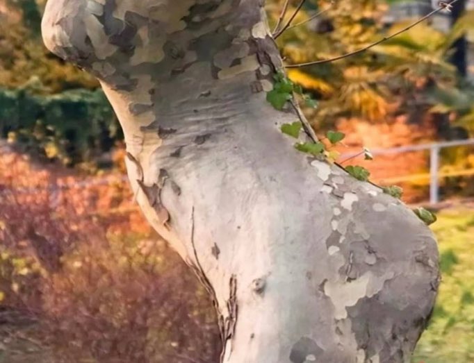 What did you see at first?