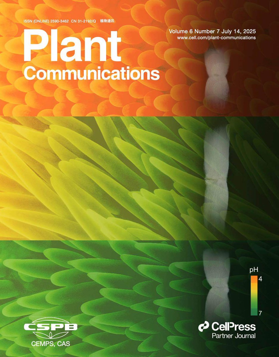 CellPressNews's tweet image. July issue of #PlantCommunications (@MPlantPCom) is online.
Read now:
hubs.ly/Q03xdBDf0