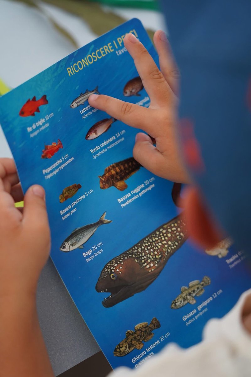 Acqua dell'Elba tweet media