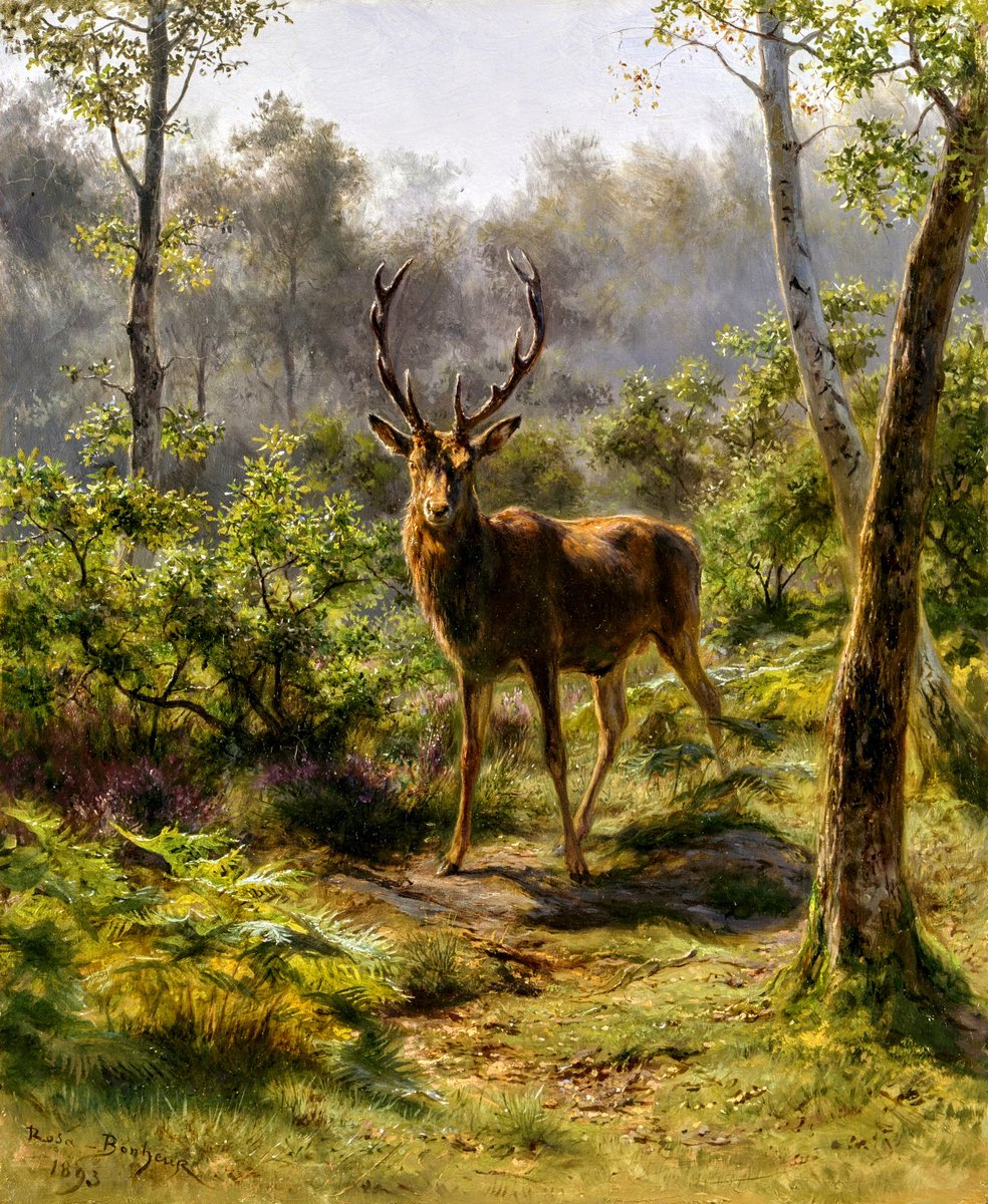 🎨

ROSA BONHEUR
"A Stag"
(1893)