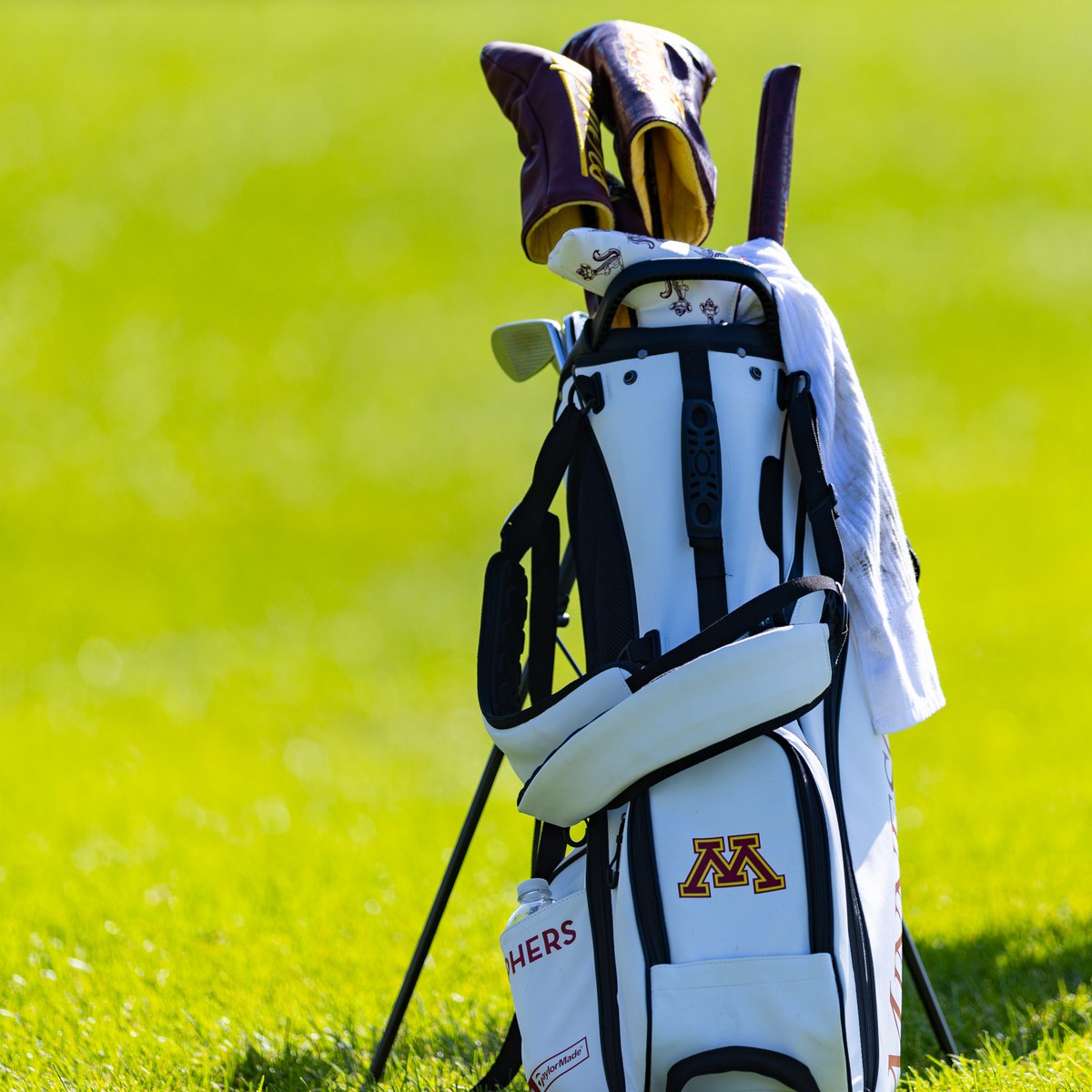 Minnesota Men's Golf tweet media