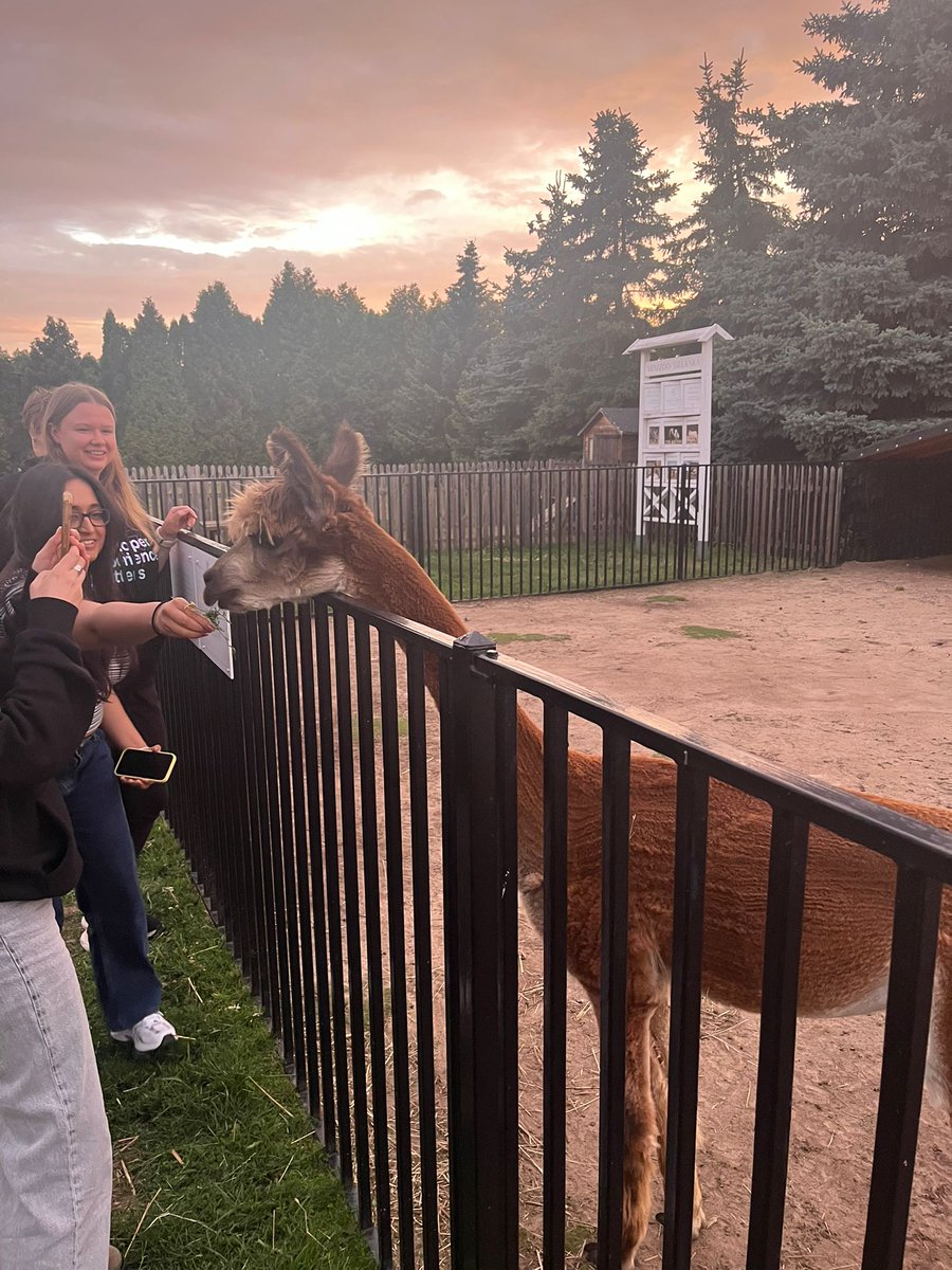 vlayer_xyz's tweet image. We took vlayer offline for a few days:
Workshops, strategy sessions, and long conversations about what we're building and why.
Also: kayaking, alpacas, and some much-needed sun.
Offsites like this remind us - strong teams build things that matter 🦙