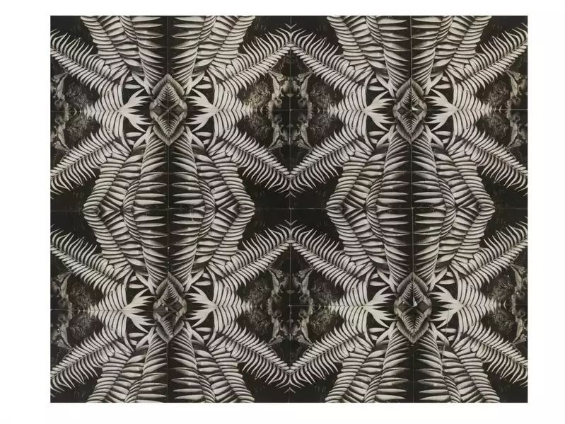 twistopherrobin's tweet photo. #Photography #Monochrome #HorstPHorst Patterns from Nature #collage https://t.co/SNhwtraTs1
