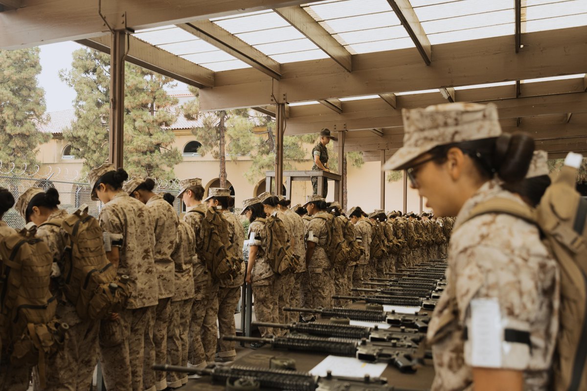 USMC's tweet image. #MarineCorps recruits with Fox Company, 2nd Recruit Training Battalion, learn how to drill before an M16A4 service rifle issue at Marine Corps Recruit Depot San Diego, California, July 14, 2025.
Recruits are issued rifles during recruit training, marking a key milestone that…