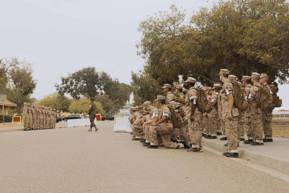 USMC's tweet image. #MarineCorps recruits with Fox Company, 2nd Recruit Training Battalion, learn how to drill before an M16A4 service rifle issue at Marine Corps Recruit Depot San Diego, California, July 14, 2025.
Recruits are issued rifles during recruit training, marking a key milestone that…