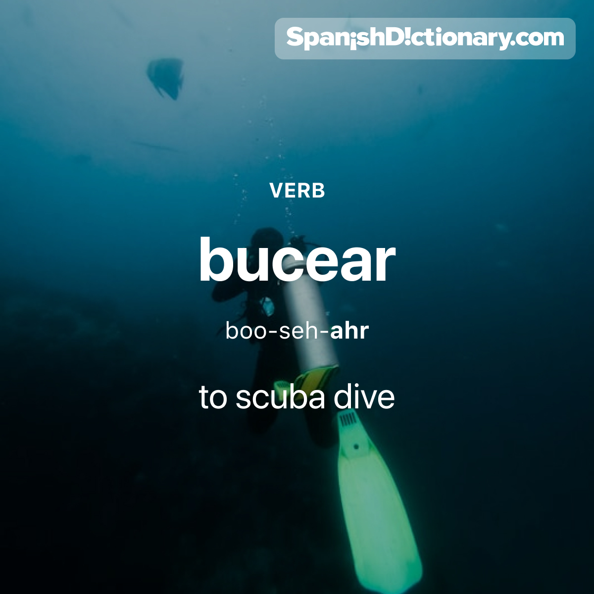 Today's #WordOfTheDay is "bucear." 🤿 For example: A Fer le gusta bucear cerca del arrecife.  - Fer likes to scuba dive near the reef.
#EstudiaEspañol #StudySpanish #AprendeEspañol #LearnSpanish #Español #Spanish #LearningSpanish #PalabraDelDia