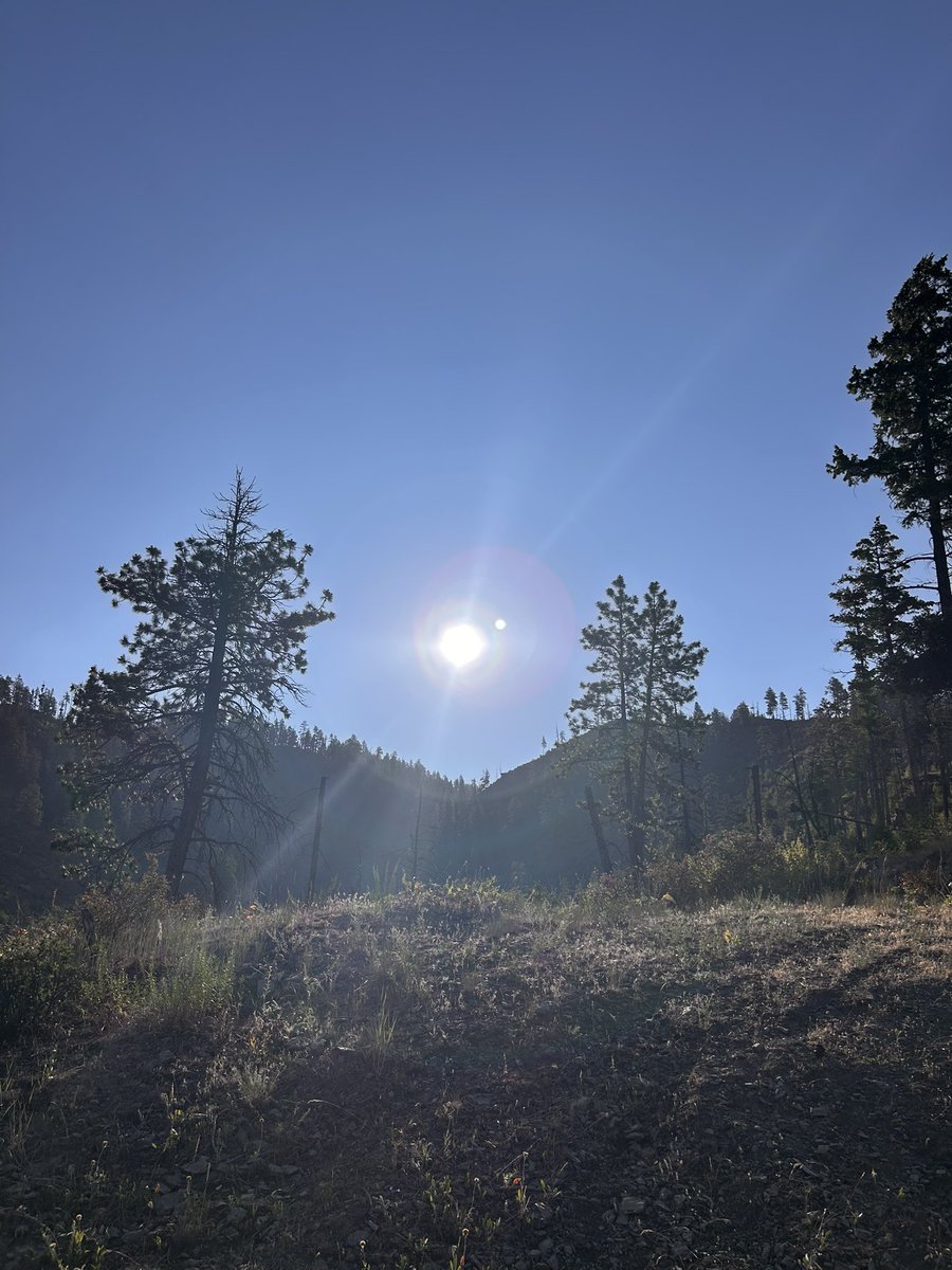 TSLATNA's tweet image. “LIFE IS precious, and there are no guarantees about how much time you have left. So, live each day to the fullest, take good care of yourselt, and most importantly, be grateful for the chance to live another day.”
-Roger Ree