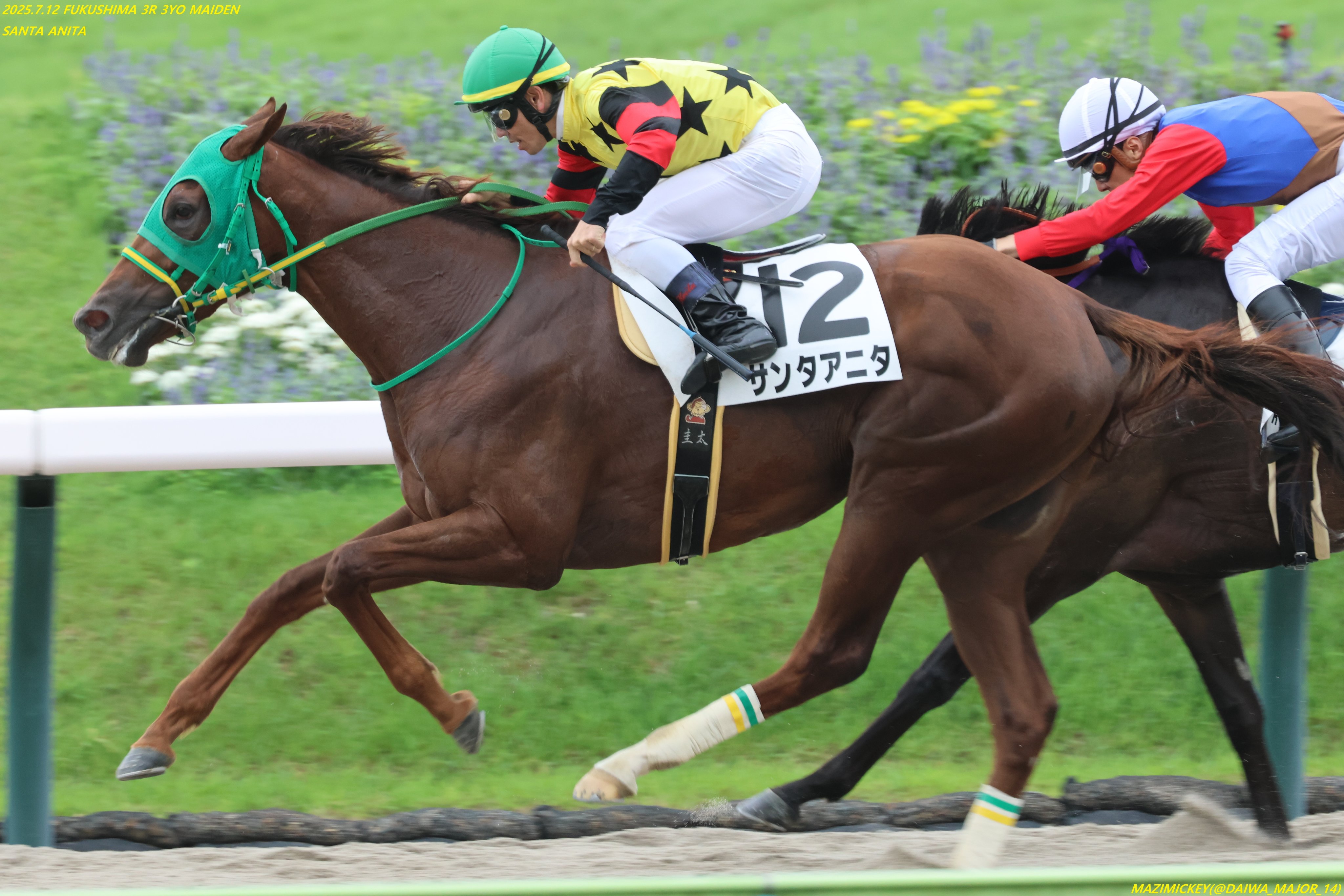 ソニーエンジェル　年賀状　馬　午　2014年　ウマ ソニーエンジェル 年賀状 馬 午 2014年 ウマ