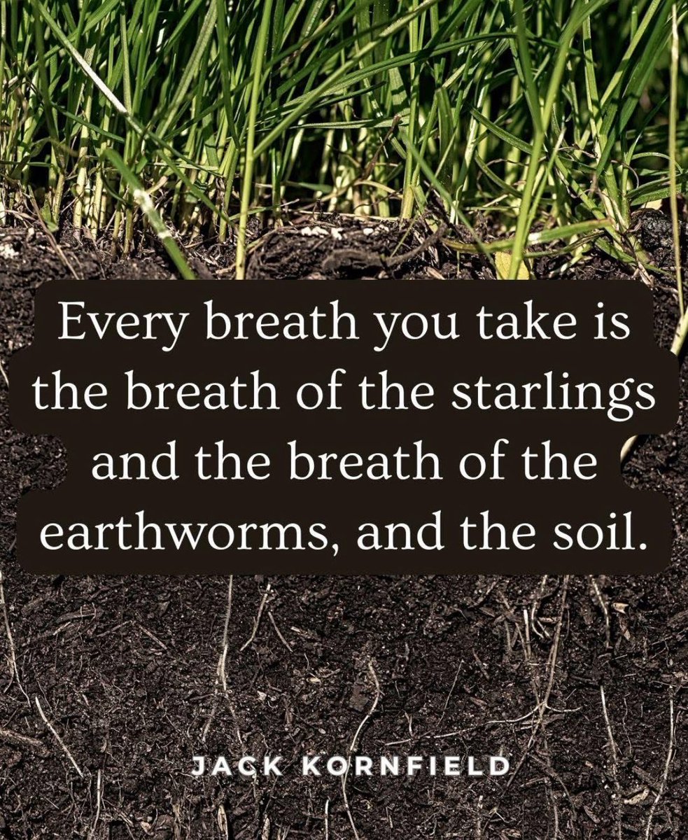 Most of the destruction that modern society has caused is the result of the mind being disconnected from the heart. 

When we tune into what really matters—breath, compassion, collaboration—we start to remember that we’re connected to something vast, mysterious, and beautiful.
