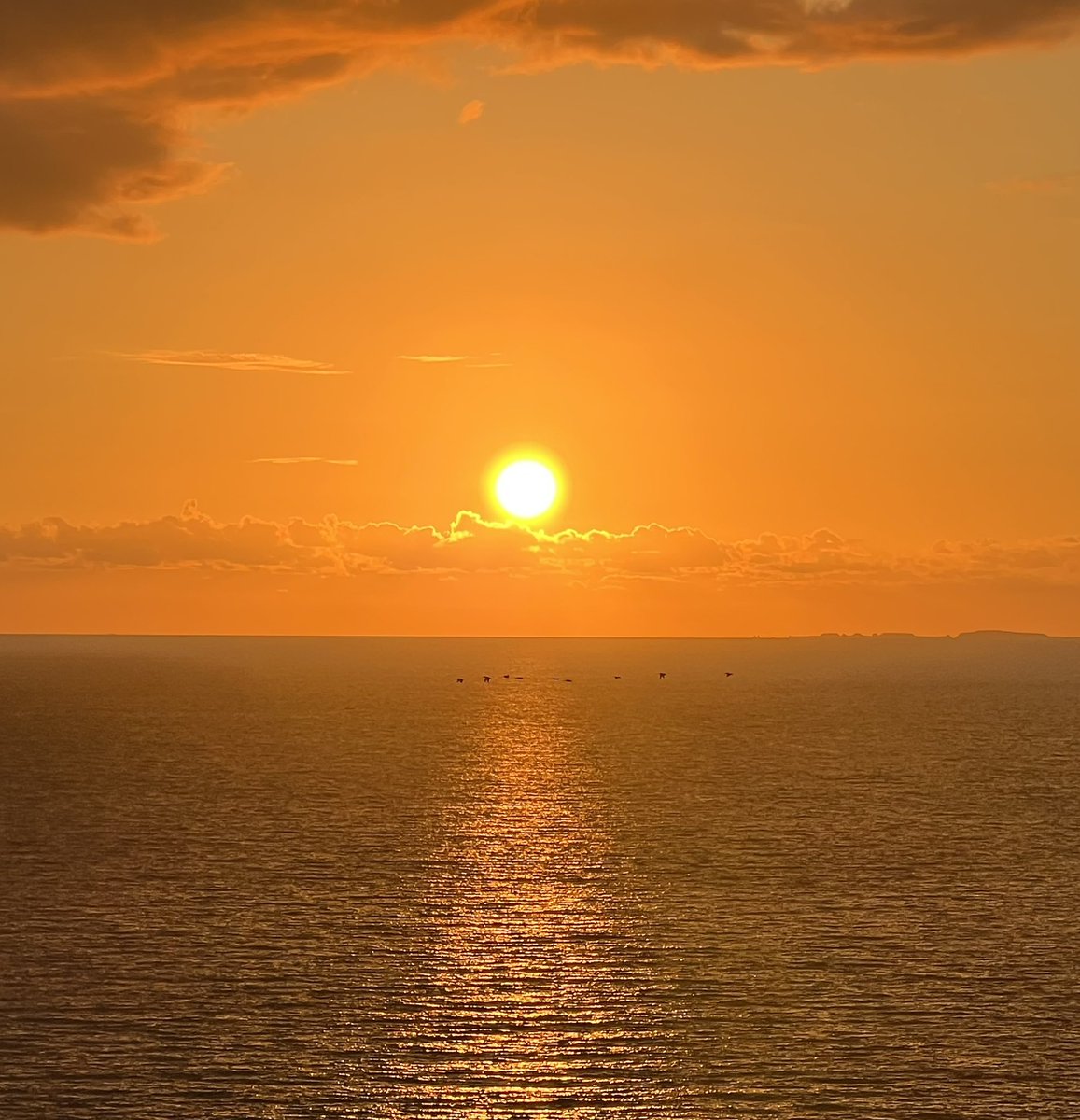 RomanCarvajal's tweet image. Esto no está a discusión, -la mejor puesta de sol- ☀️
es la de mi rancho, #PuertoVallarta simplemente hermosa 🤩