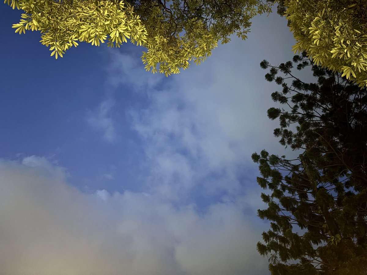 Parneet4294's tweet image. Look up … who’s glowing..! #Introspect #AajKiRaat