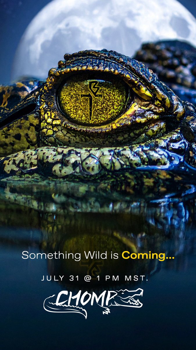 momentumbaseball.shop/products/bauer…