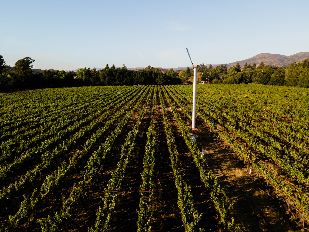 Ruth's Chris - PIK tweet media