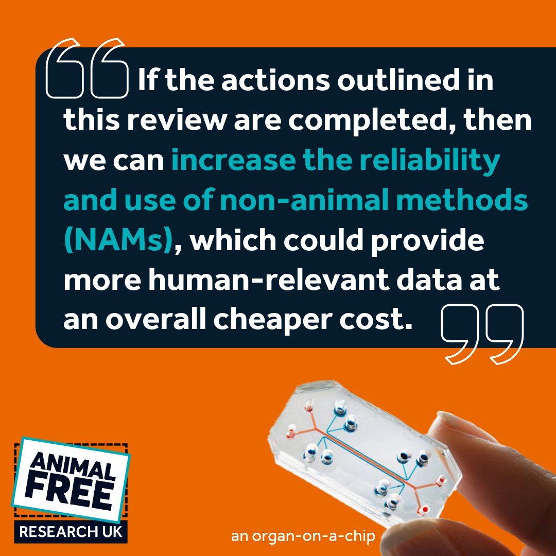 AFR_UK's tweet image. 🚨 Hot off the press! A new paper by Dr Lauren Hope & Dr Jarrod Bailey reveals why 92% of drugs that pass animal tests fail in humans — and calls for urgent investment in human-specific research.
Read more: journals.sagepub.com/doi/10.1177/02…
#KinderScience #BrighterFuture