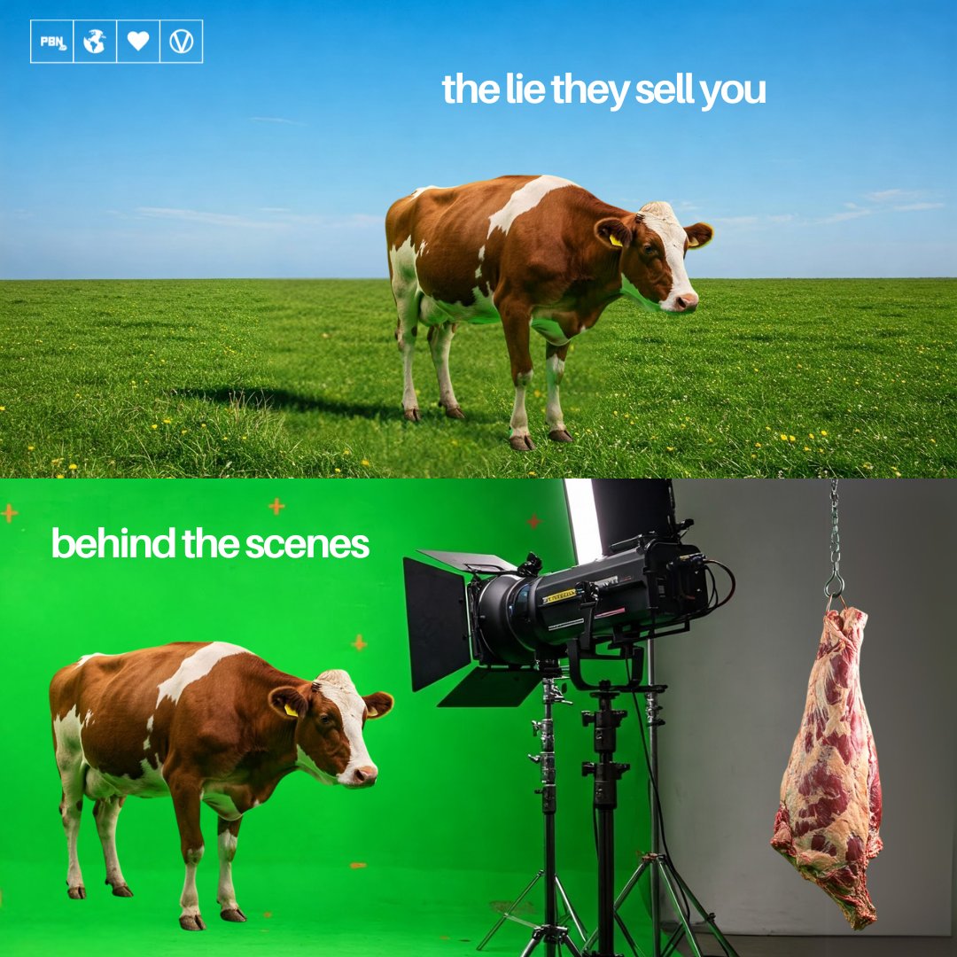 PlantBasedNews's tweet image. They want you to believe that the animals you're eating were 'high-welfare', 'grass-fed' and 'humanely-slaughtered'.
The truth:
It is estimated that around 92 billion land animals are killed for food each year. On top of that, approximately two trillion fish are killed…