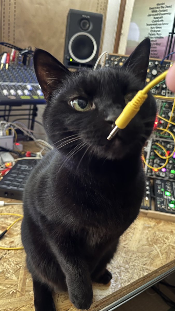 Orientalsalt's tweet image. モジュレーション