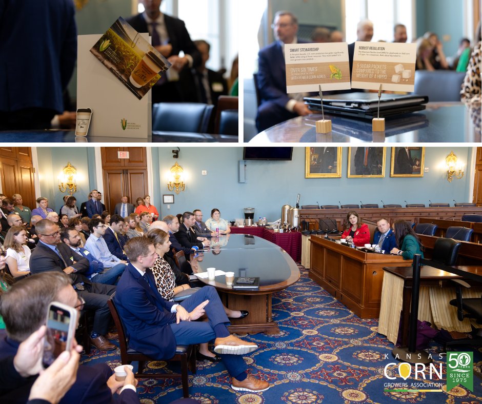 kscorn's tweet image. Yesterday was a big day in DC as we wrapped up #CornCongress!
🌽 KCGA President JD Hanna met with USDA Deputy Secretary Vaden at the White House to advocate for Kansas farmers.
🌽 Collegiate Academy students and leaders visited USDA to meet with RMA and FSA administrators.
🌽…