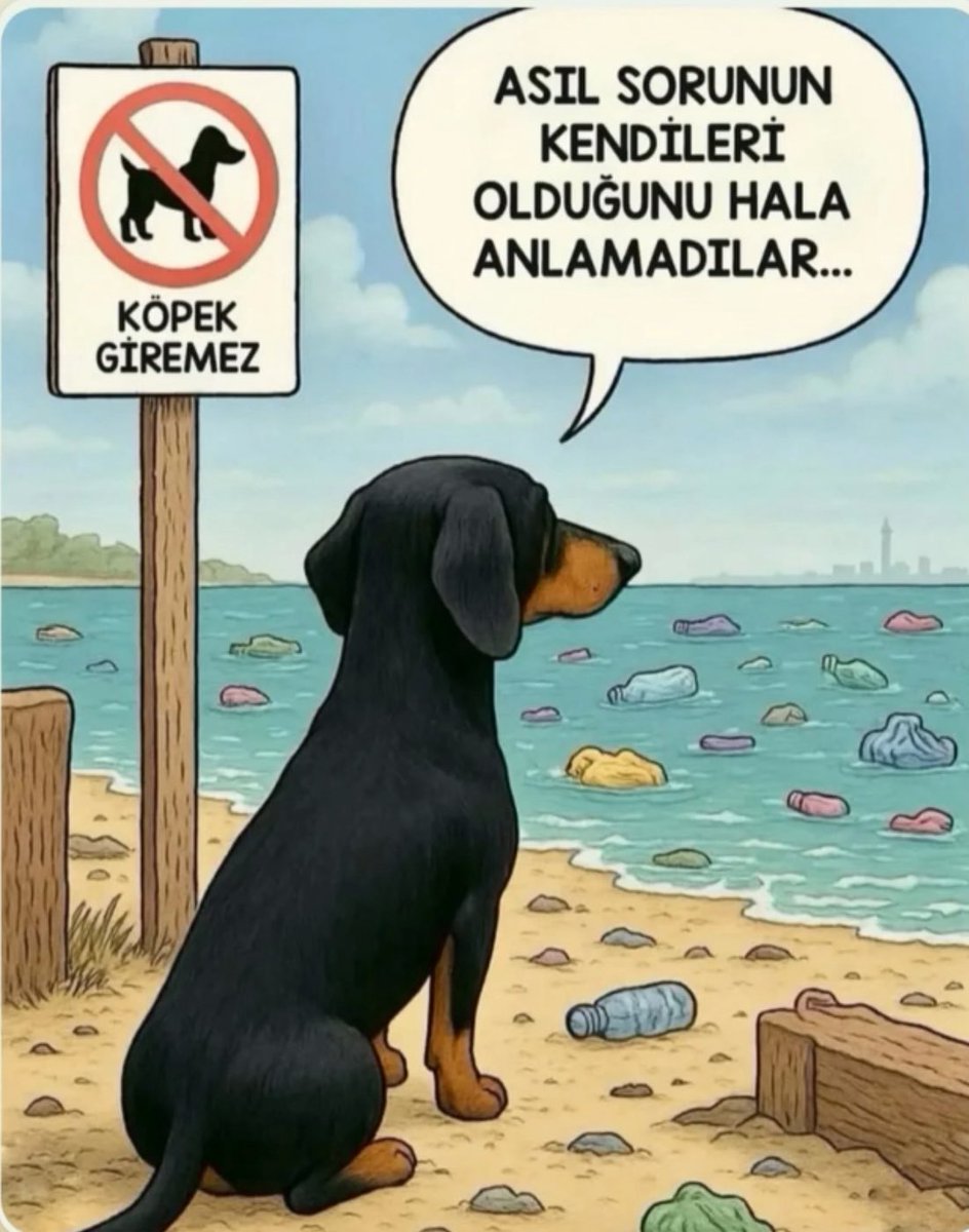 🔴ASIL SORUNUN🔴

💥KENDİLERİ OLDUĞUNU💥

‼️ Hala anlamadılar !.‼️