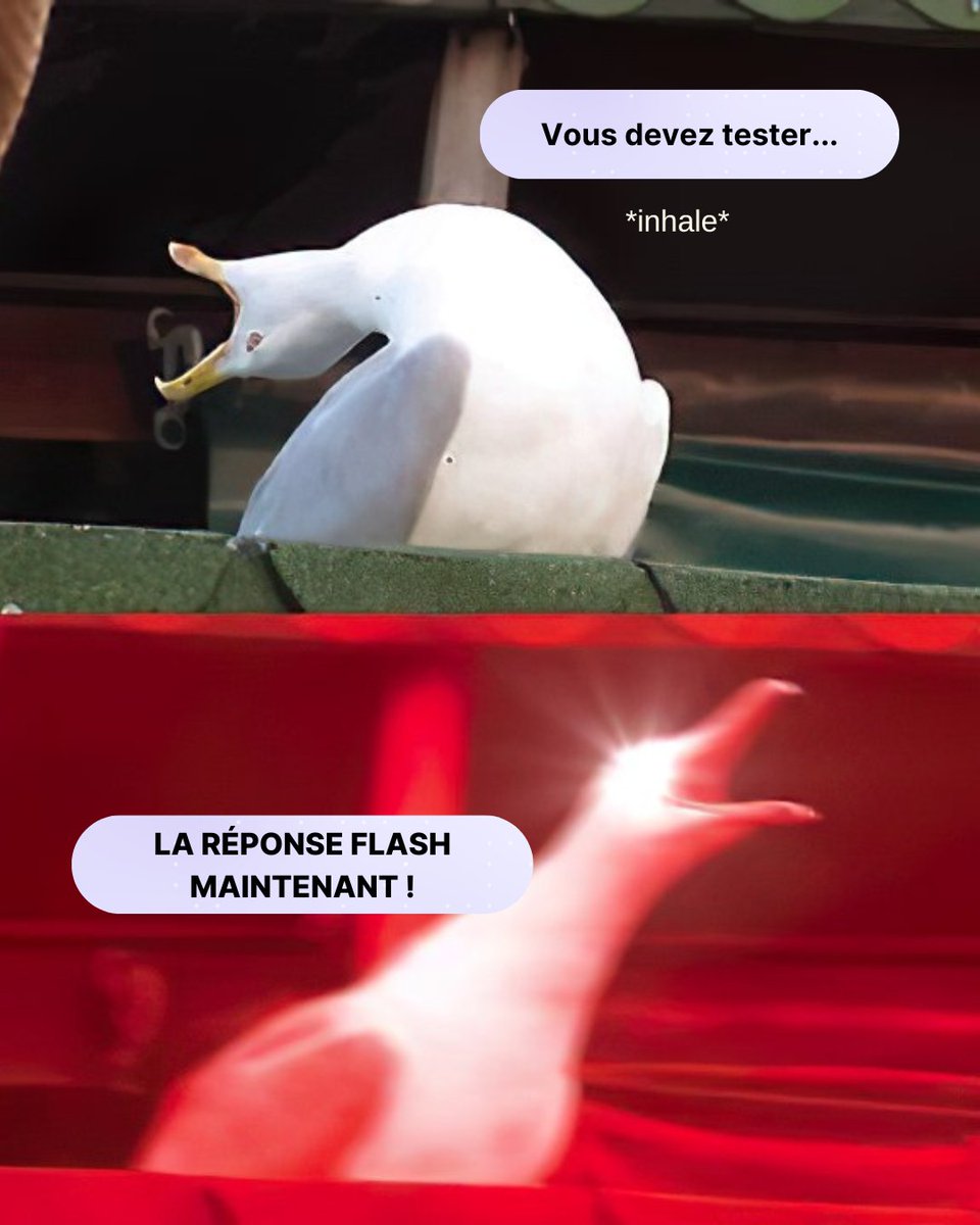 Vous attendez quoi pour tester cette pépite ? ✨