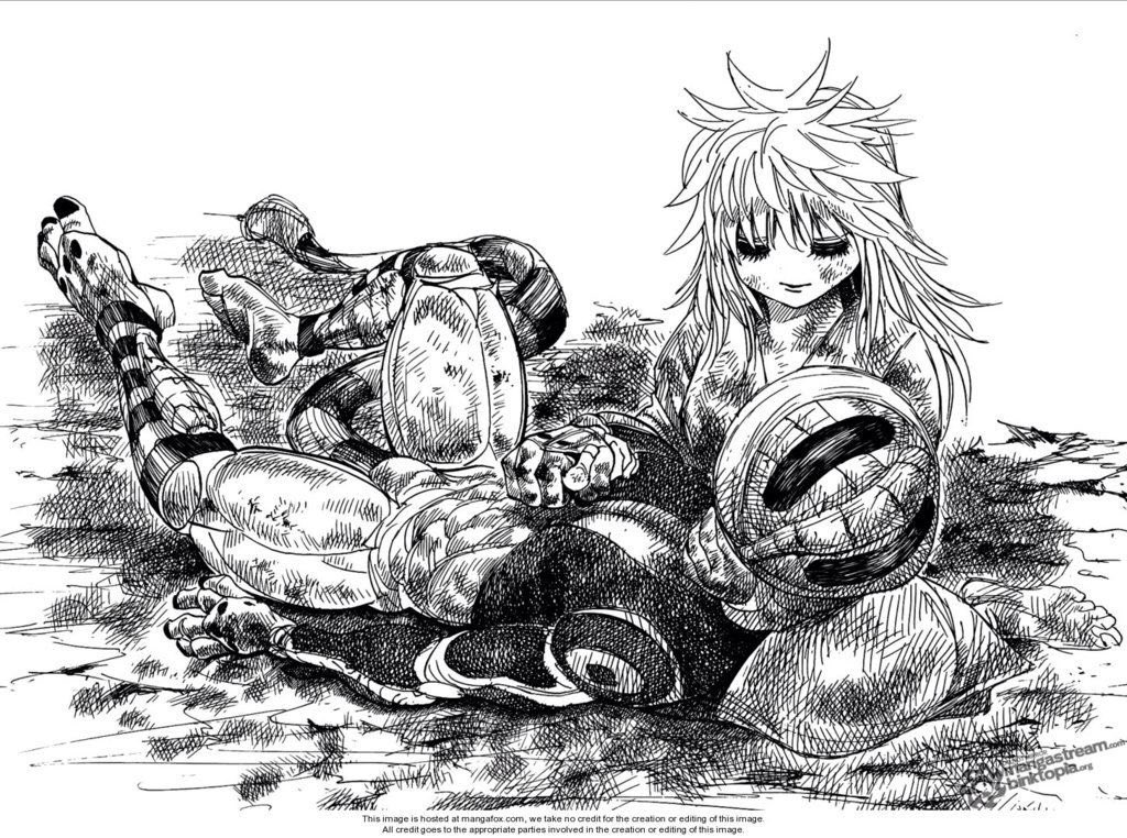 Hunter x Hunter (@hxhvizuals) on Twitter photo 