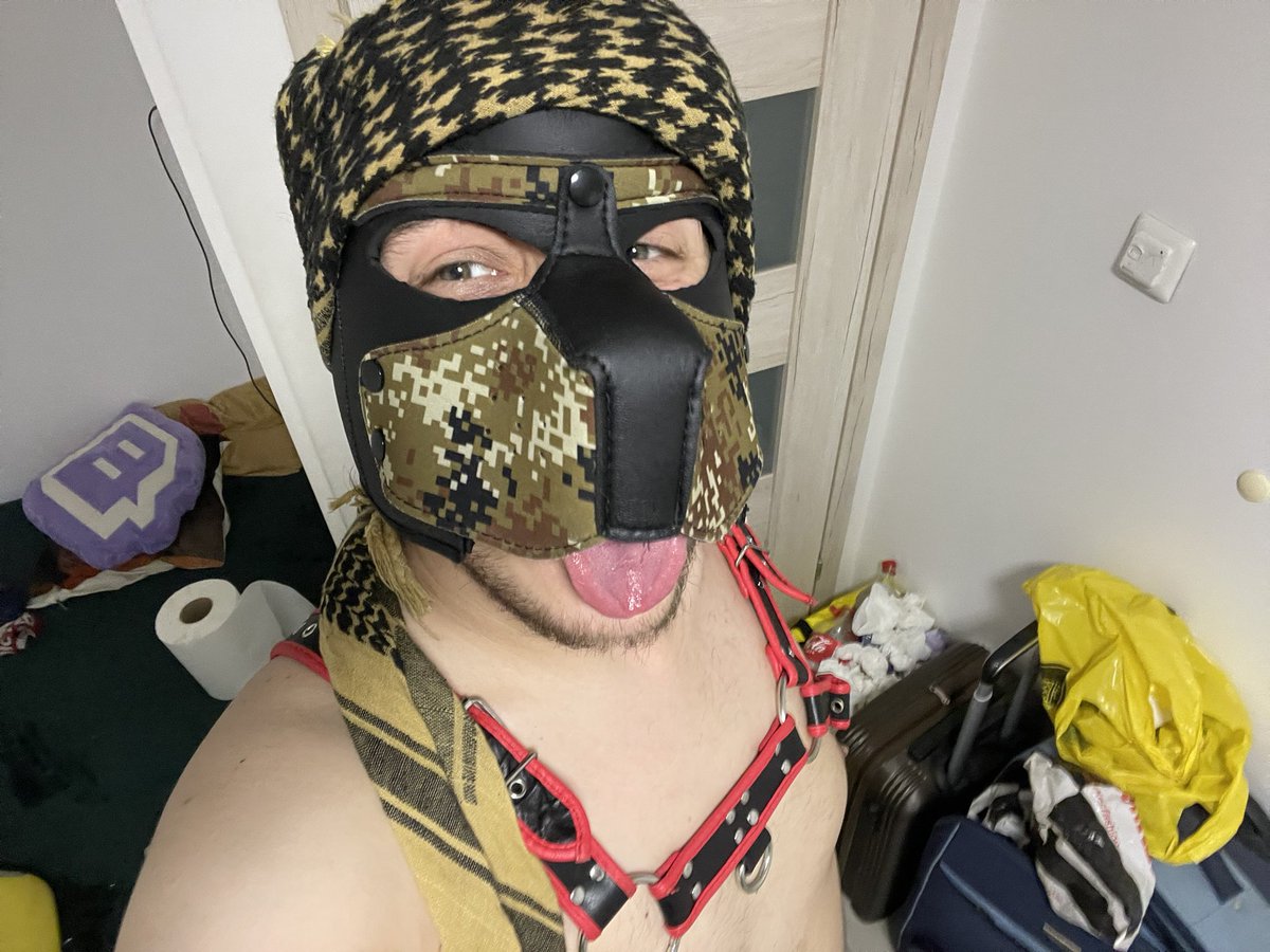Noct7755's tweet photo. That’s it. I’m making this shemagh a part of my woofsona. It’s already a part of me. #shemagh #DressToImpress #desertdog https://t.co/XvalTEGO5s