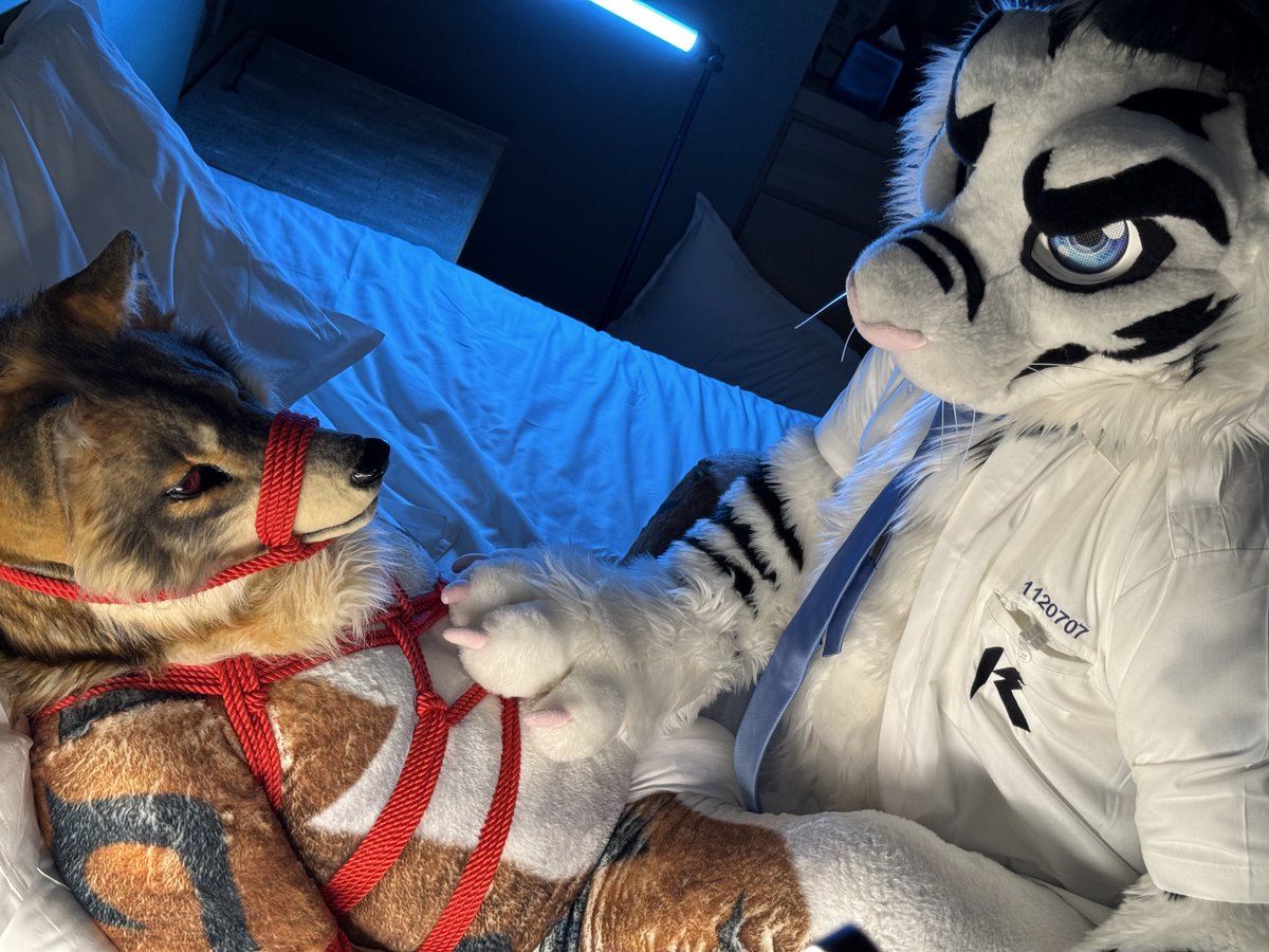 放課後の指導

🐺：<a href="/sagami_inudog/">いぬ</a> 
📸：<a href="/KemonoTea/">Tea／茶茶</a> 
✂️：<a href="/BK_fursuit/">BK Fursuit</a> 
#UTFG2025
#FursuitsFriday