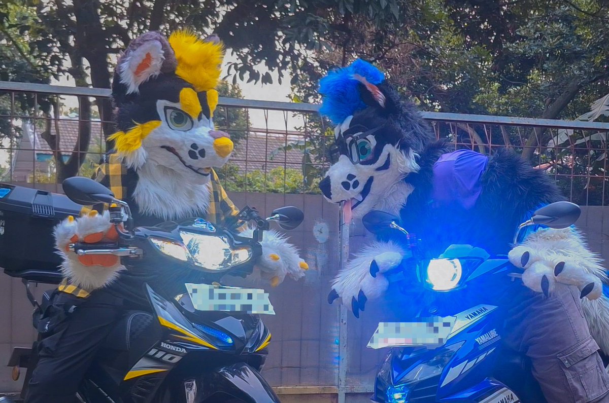 Ickx_Husky's tweet image. Me and Lumee @REORENADE sharing matching bikes, we literally have the same colors 💙💛🖤