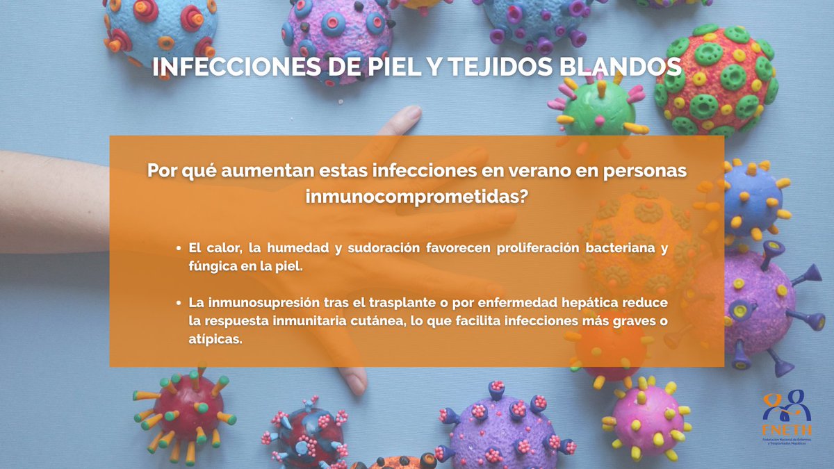 fneth_org's tweet image. 🦠 Las infecciones en verano pueden ser muy peligrosas, sobre todo para personas enfermas o trasplantadas hepáticas
👉 A lo largo del verano os traeremos distintos posts para tener un mayor conocimiento sobre estas infecciones
❗Conozcamos las de piel y tejidos blandos