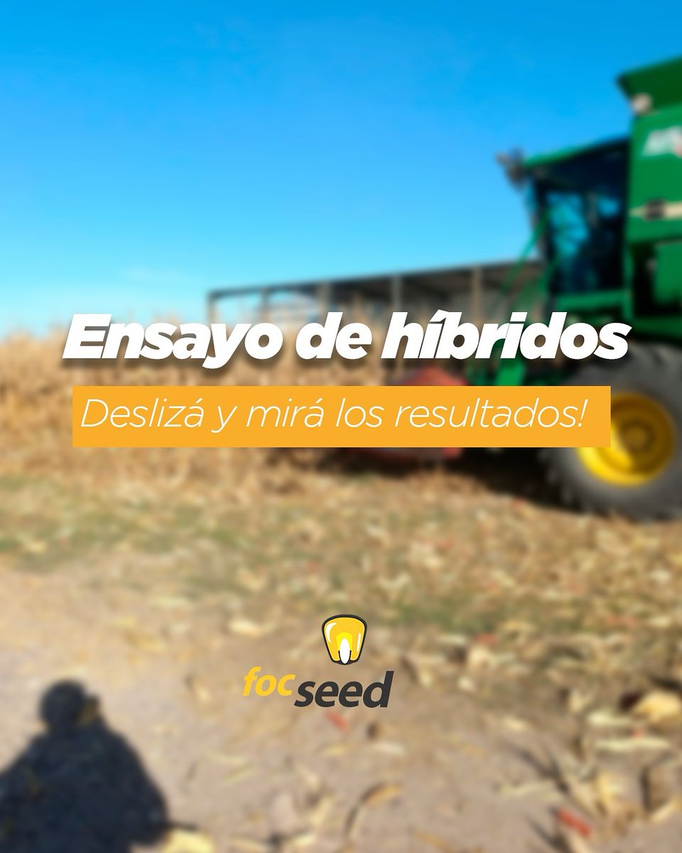 focseed's tweet photo. Detrás de los buenos resultados, hay buenas decisiones 🙌🏻
Estos fueron los resultados del ensayo de híbridos 🌽@dekalbargentina que hicimos en nuestro predio.
Si queres saber más sobre alguno de los híbridos, escribile a tu #asesorfocseed https://t.co/4oBVUJl4AL