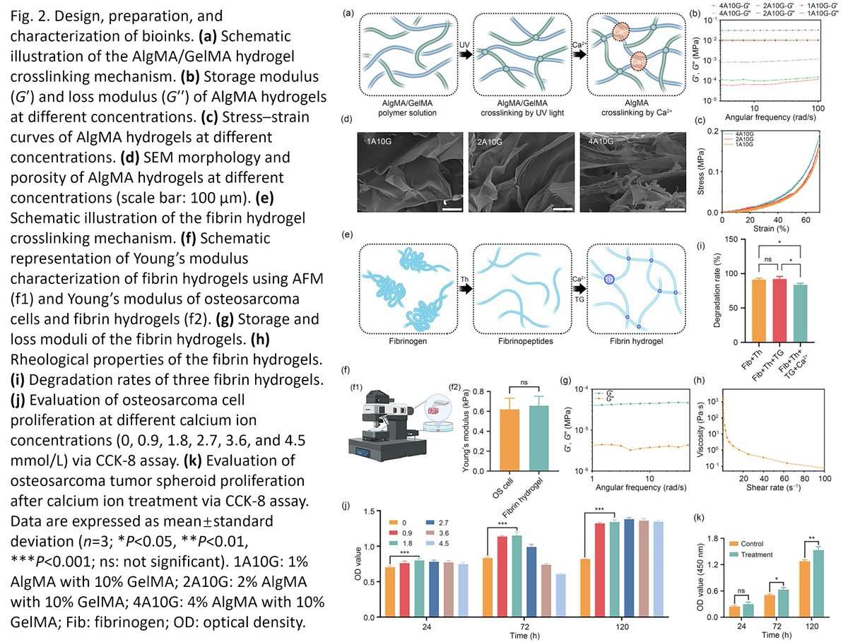 Bio-Design and Manufacturing (@biodesignmanuf) on Twitter photo Bioprintedintegrated gradient biomechanical signal-tailored osteosarcoma model: advancing insights into tumor development and drug screening
Learn more: doi.org/10.1631/bdm.24…
<a href="/swjtu1896/">Southwest Jiaotong University</a> <a href="/SCUCN/">Sichuan University</a> <a href="/ucl/">UCL</a> <a href="/swjtu1896/">Southwest Jiaotong University</a> <a href="/QingdaoU/">Qingdao University</a> <a href="/sjtu1896/">Shanghai Jiao Tong University</a> Bioprintedintegrated gradient biomechanical signal-tailored osteosarcoma model: advancing insights into tumor development and drug screening
Learn more: doi.org/10.1631/bdm.24…
<a href="/swjtu1896/">Southwest Jiaotong University</a> <a href="/SCUCN/">Sichuan University</a> <a href="/ucl/">UCL</a> <a href="/swjtu1896/">Southwest Jiaotong University</a> <a href="/QingdaoU/">Qingdao University</a> <a href="/sjtu1896/">Shanghai Jiao Tong University</a>