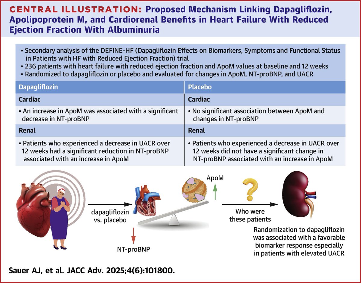 JACCJournals's tweet photo. While #dapagliflozin didn’t significantly change #ApoM overall, an inverse association with #NTproBNP was seen in patients with albuminuria, suggesting a potential treatment effect. https://t.co/m83FUgELsy
#JACCAdvances #HFrEF #SGLT2i https://t.co/zjxFrEge7C