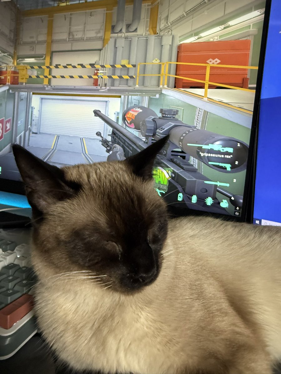 If she was a bird she would not be getting the early worm